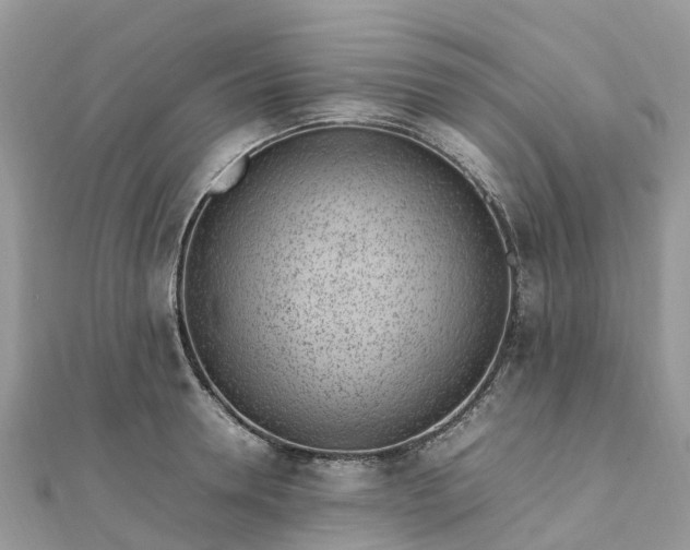 X0000111850946200907301108
