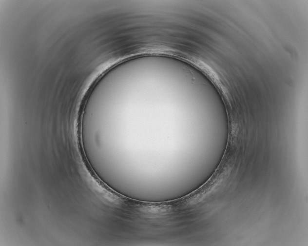 X0000111850947200907301108