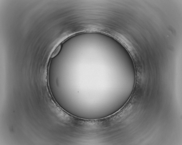 X0000111850948200907301108