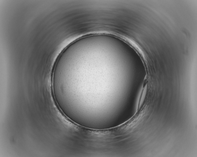 X0000111850951200907301108