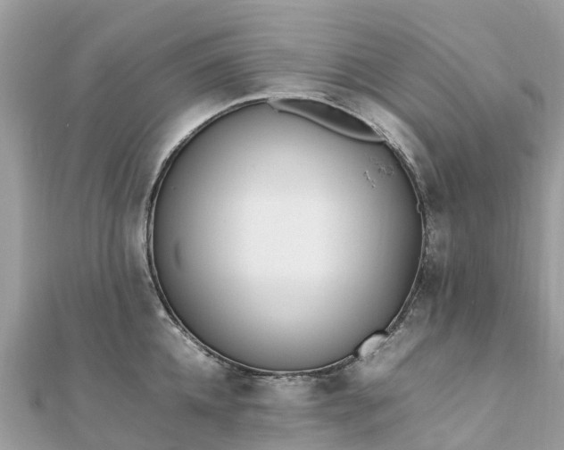 X0000111850952200907301108