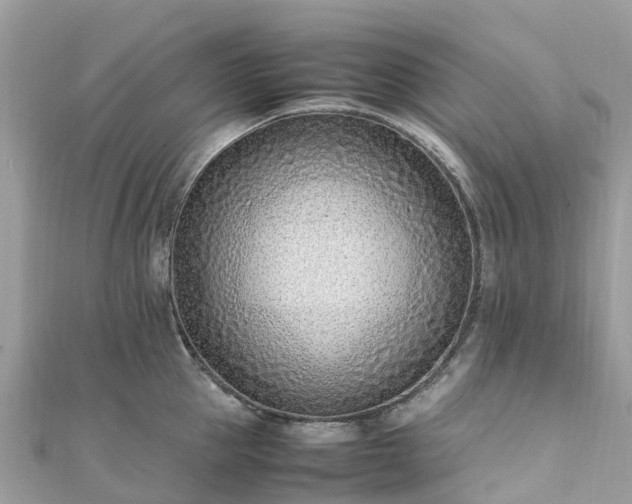 X0000111850953200907301108