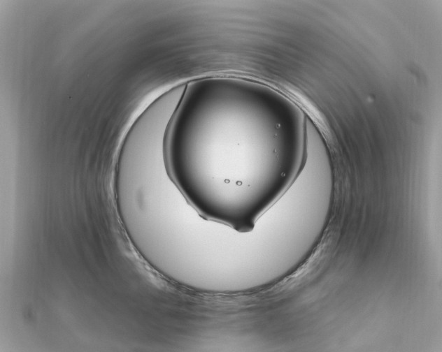 X0000111850956200907301108