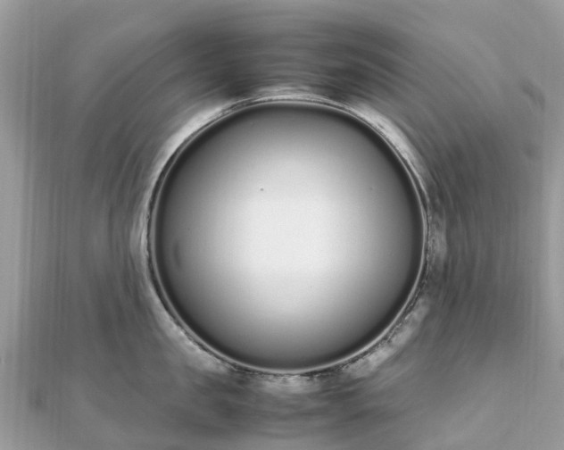 X0000111850957200907301108