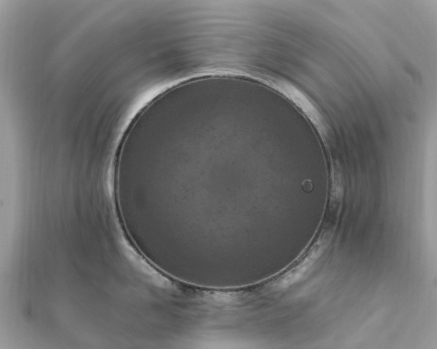 X0000111850958200907301108