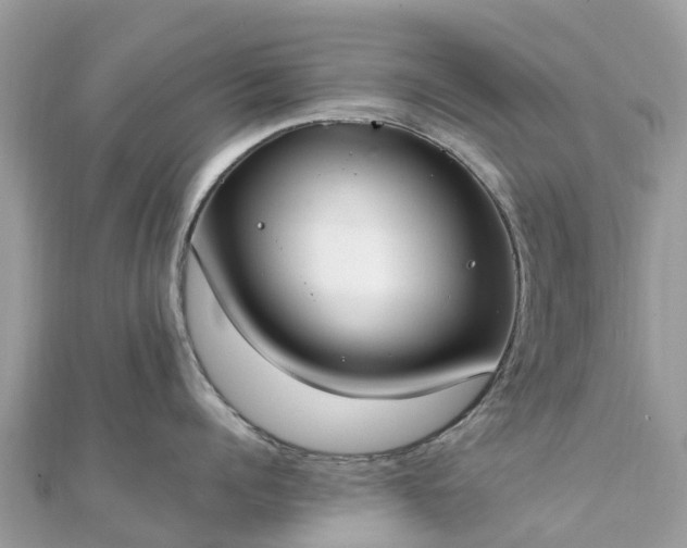 X0000111850960200907301108