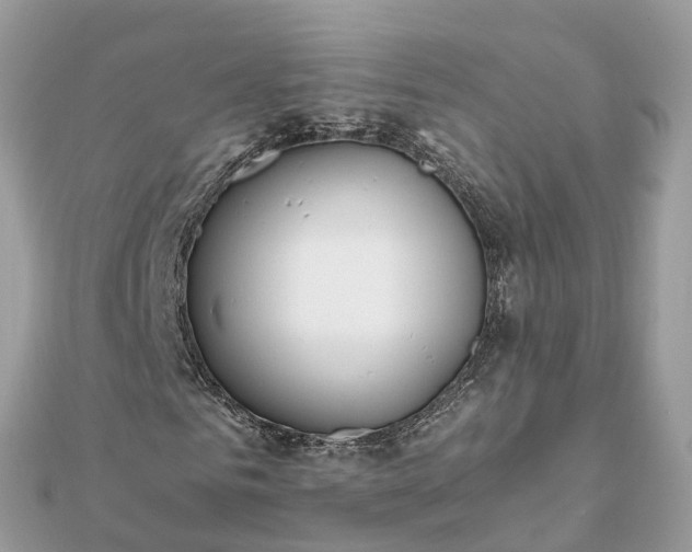 X0000111850961200907301107