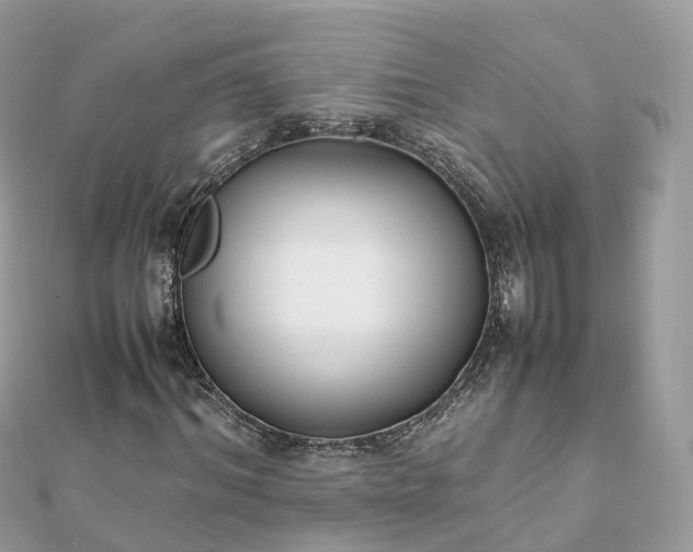 X0000111850964200907301107
