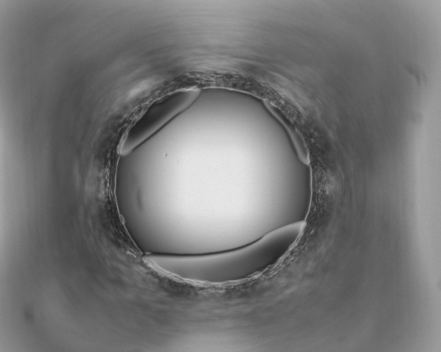 X0000111850965200907301107
