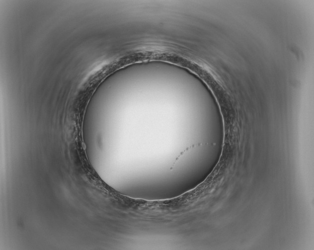 X0000111850967200907301107