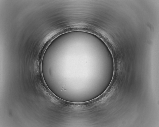 X0000111850970200907301107