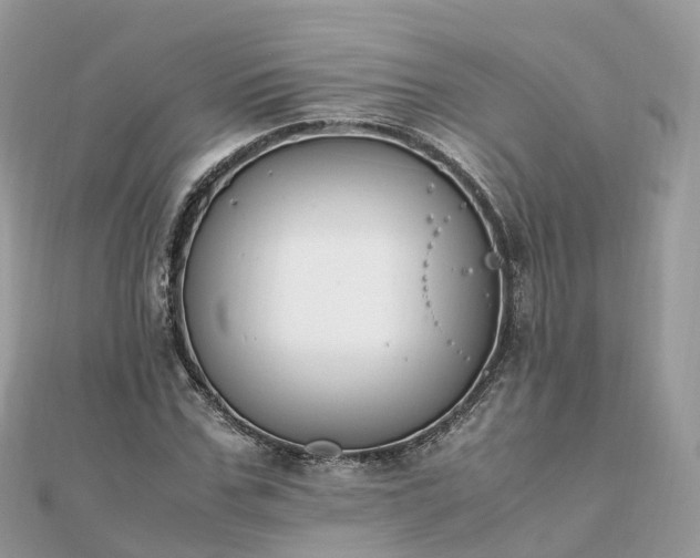 X0000111850971200907301107