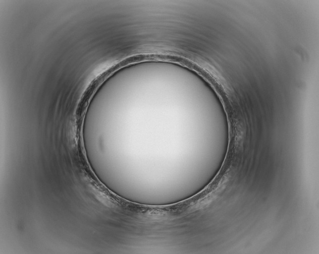 X0000111850974200907301107