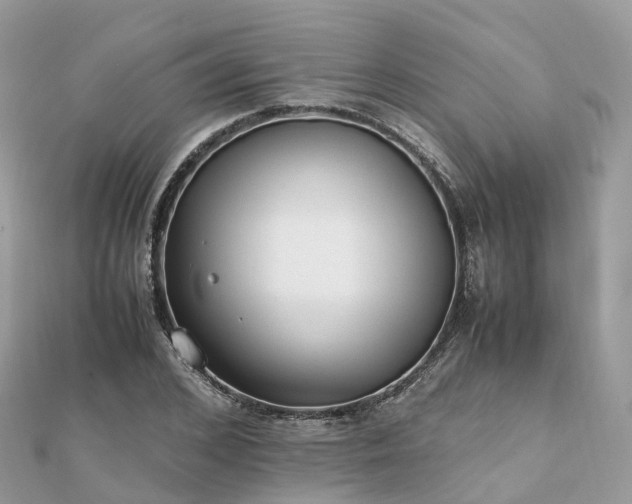 X0000111850976200907301107