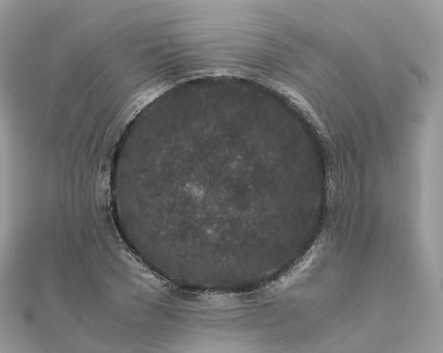 X0000111850977200907301107