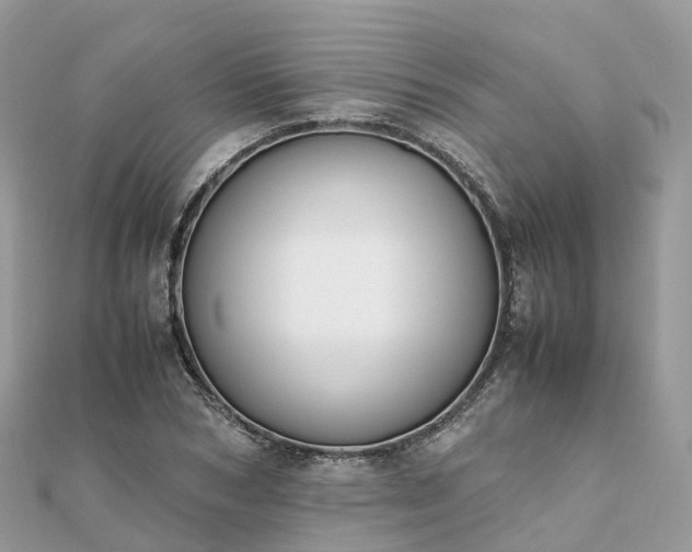 X0000111850978200907301107