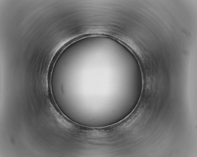 X0000111850980200907301107