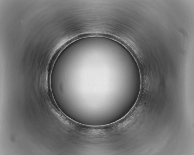 X0000111850982200907301107