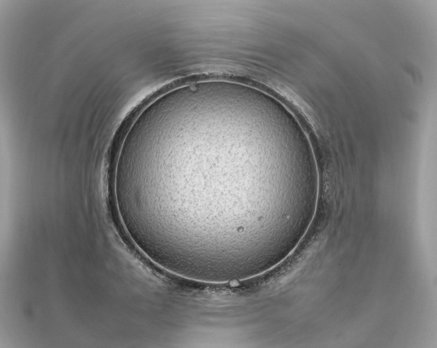 X0000111850983200907301107