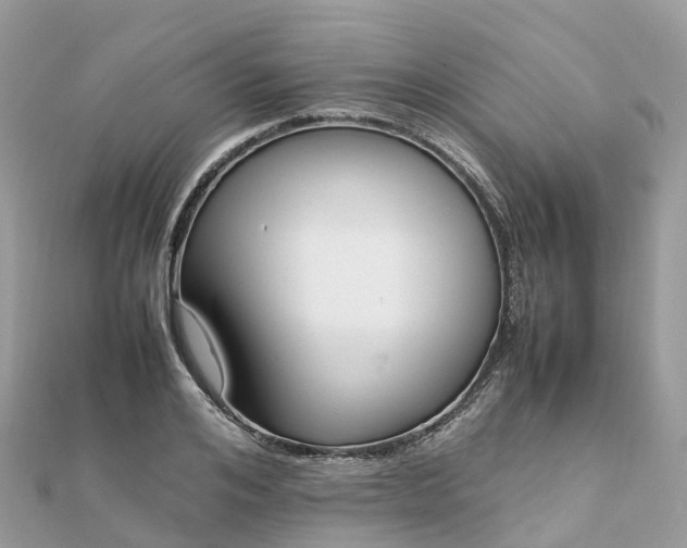 X0000111850984200907301107
