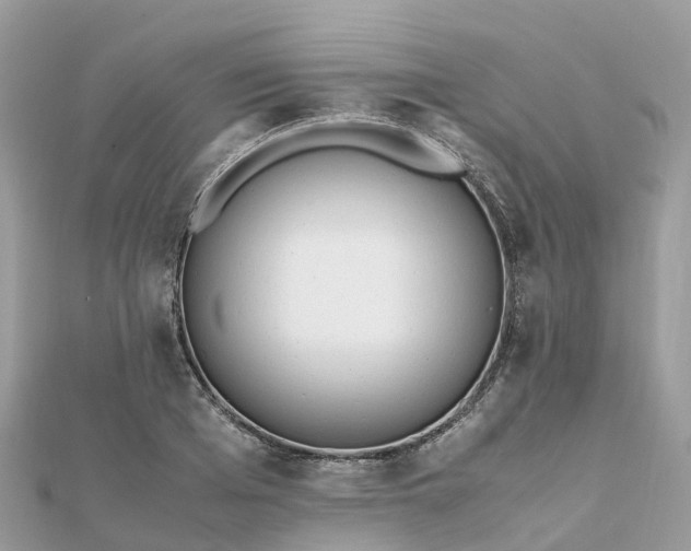 X0000111850985200907301107