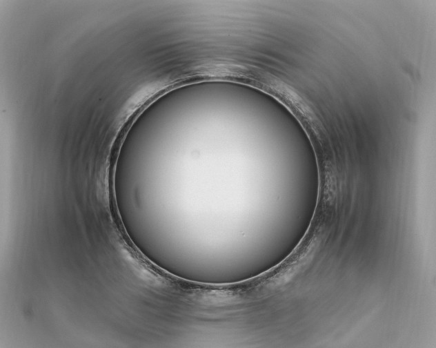 X0000111850986200907301107