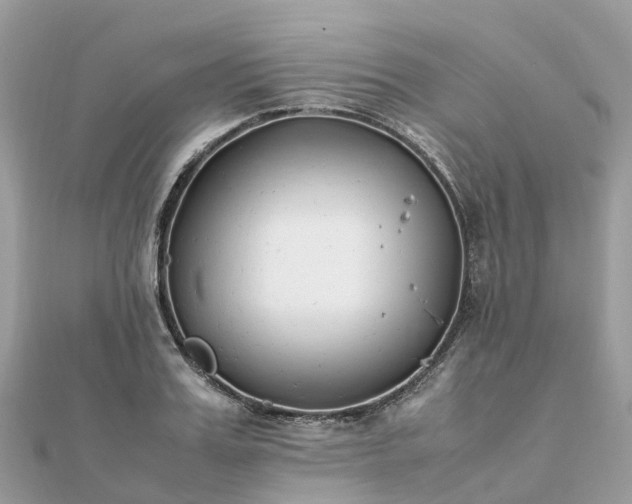 X0000111850987200907301107