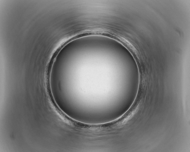 X0000111850989200907301107