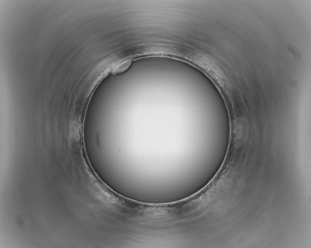 X0000111850993200907301107