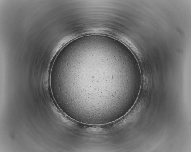 X0000111850994200907301107