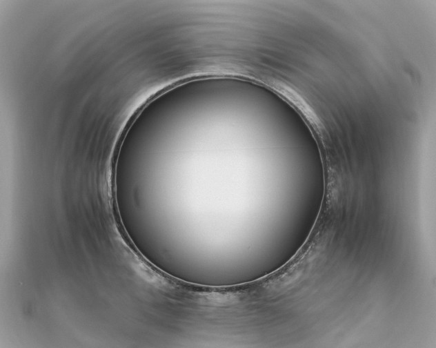 X0000111850996200907301107
