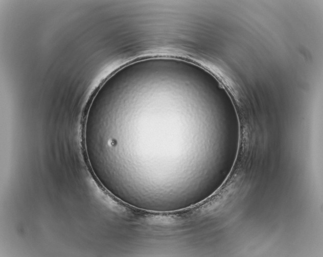 X0000111850998200907301107