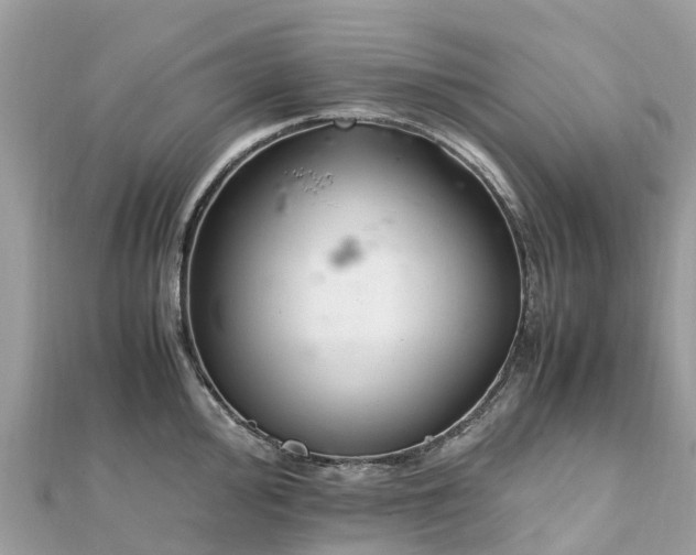 X0000111851000200907301107
