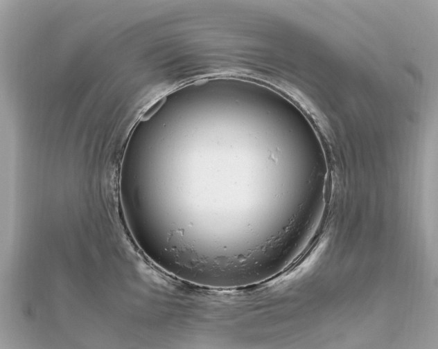 X0000111851001200907301107