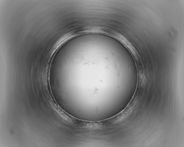 X0000111851002200907301107
