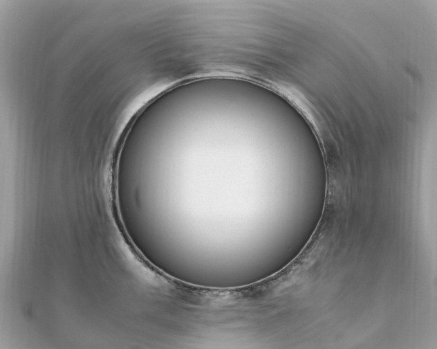 X0000111851003200907301107