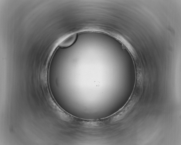 X0000111851004200907301107