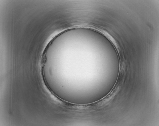 X0000111851005200907301107