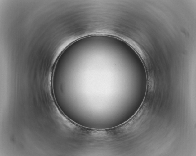 X0000111851006200907301107