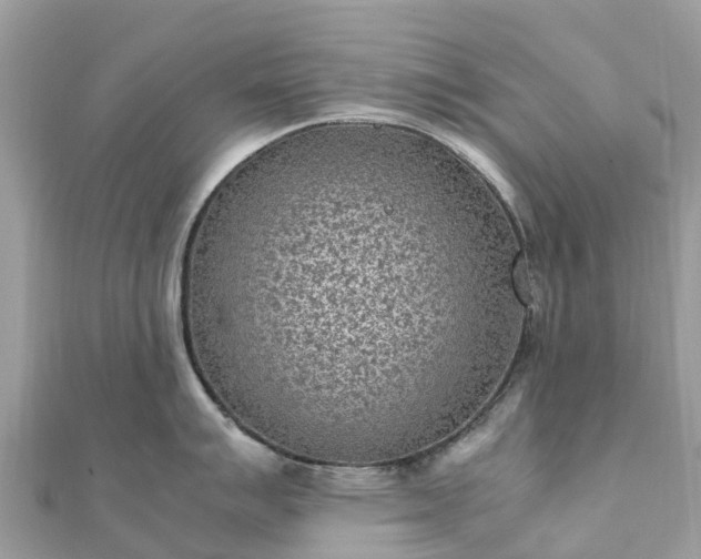 X0000111851007200907301107