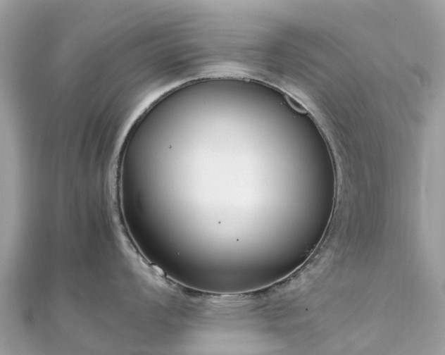 X0000111851008200907301107