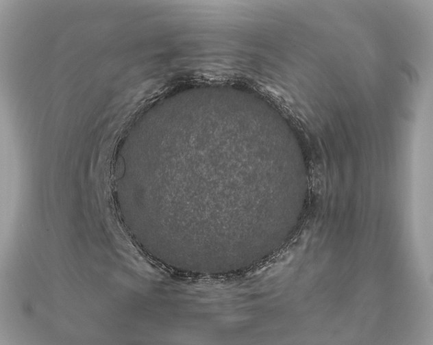 X0000111851009200907301106