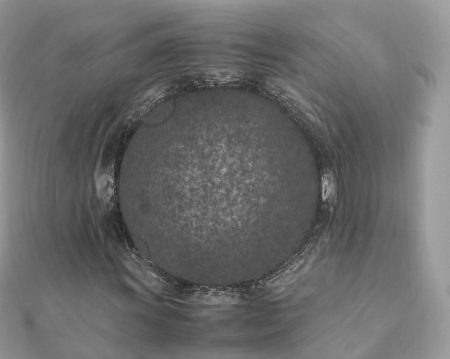 X0000111851011200907301106