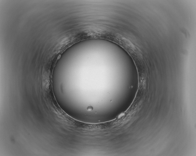 X0000111851012200907301106
