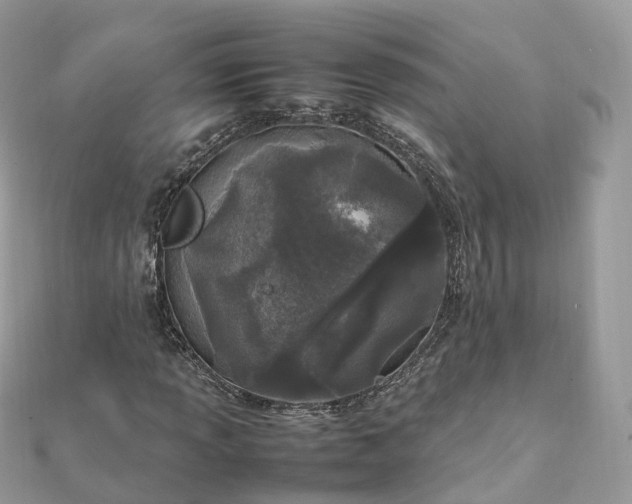 X0000111851013200907301106