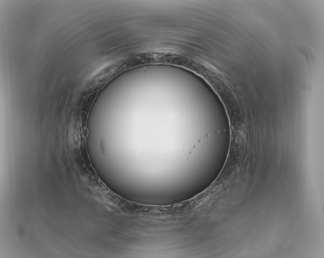 X0000111851014200907301106