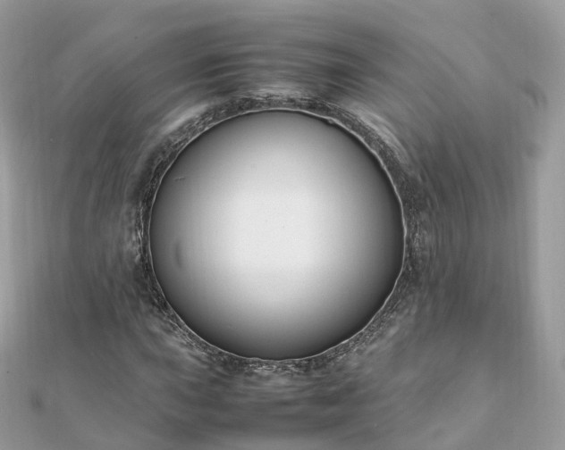 X0000111851015200907301106