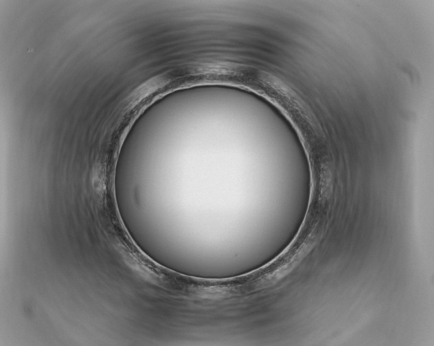 X0000111851017200907301106