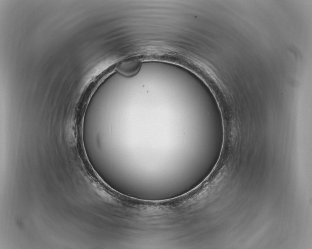 X0000111851018200907301106