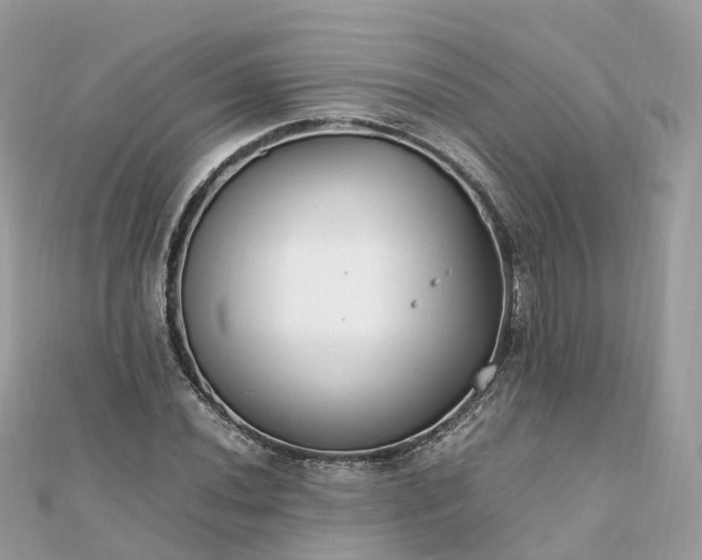 X0000111851020200907301106